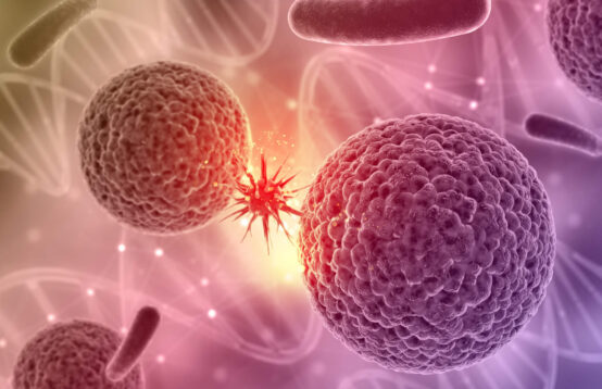 Как да тренираме имунитета си?